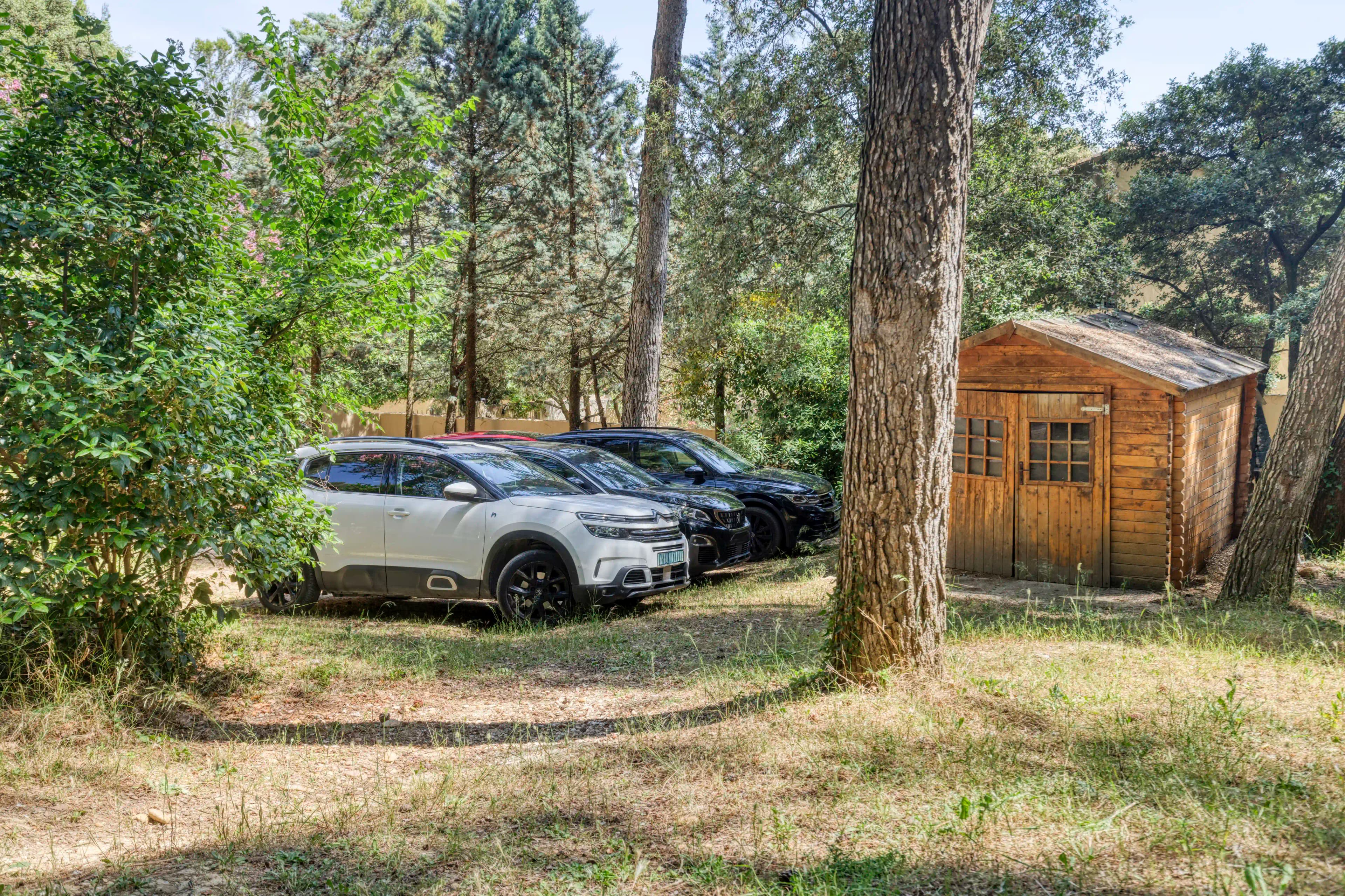 Allée — Entrée du domaine, intimité et verdure