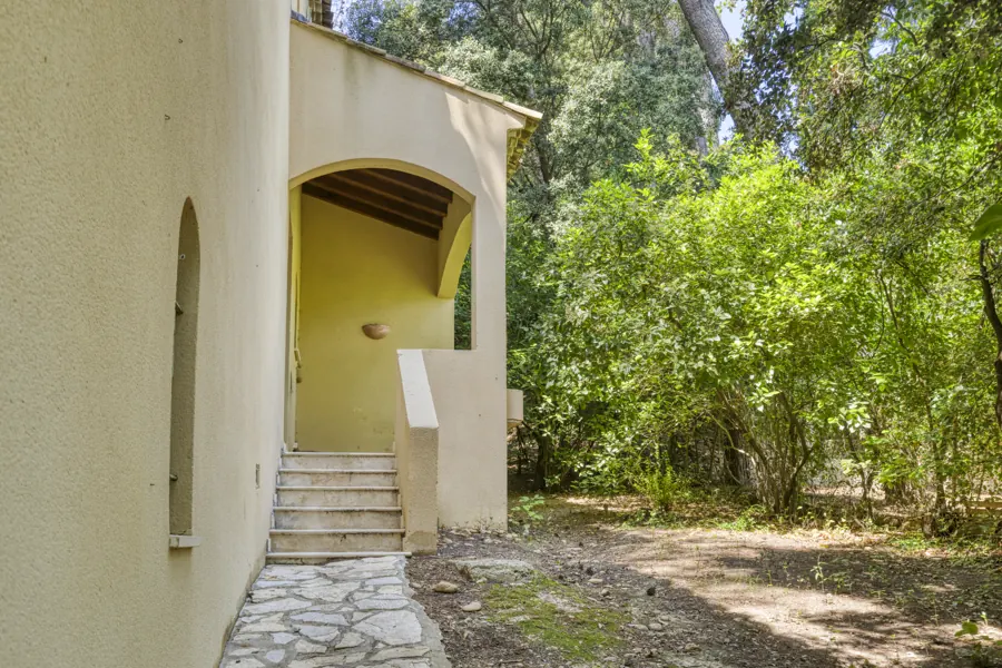 Un accès à la maison dans la verdure