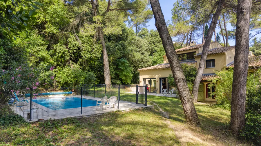 La piscine au milieu des arbres